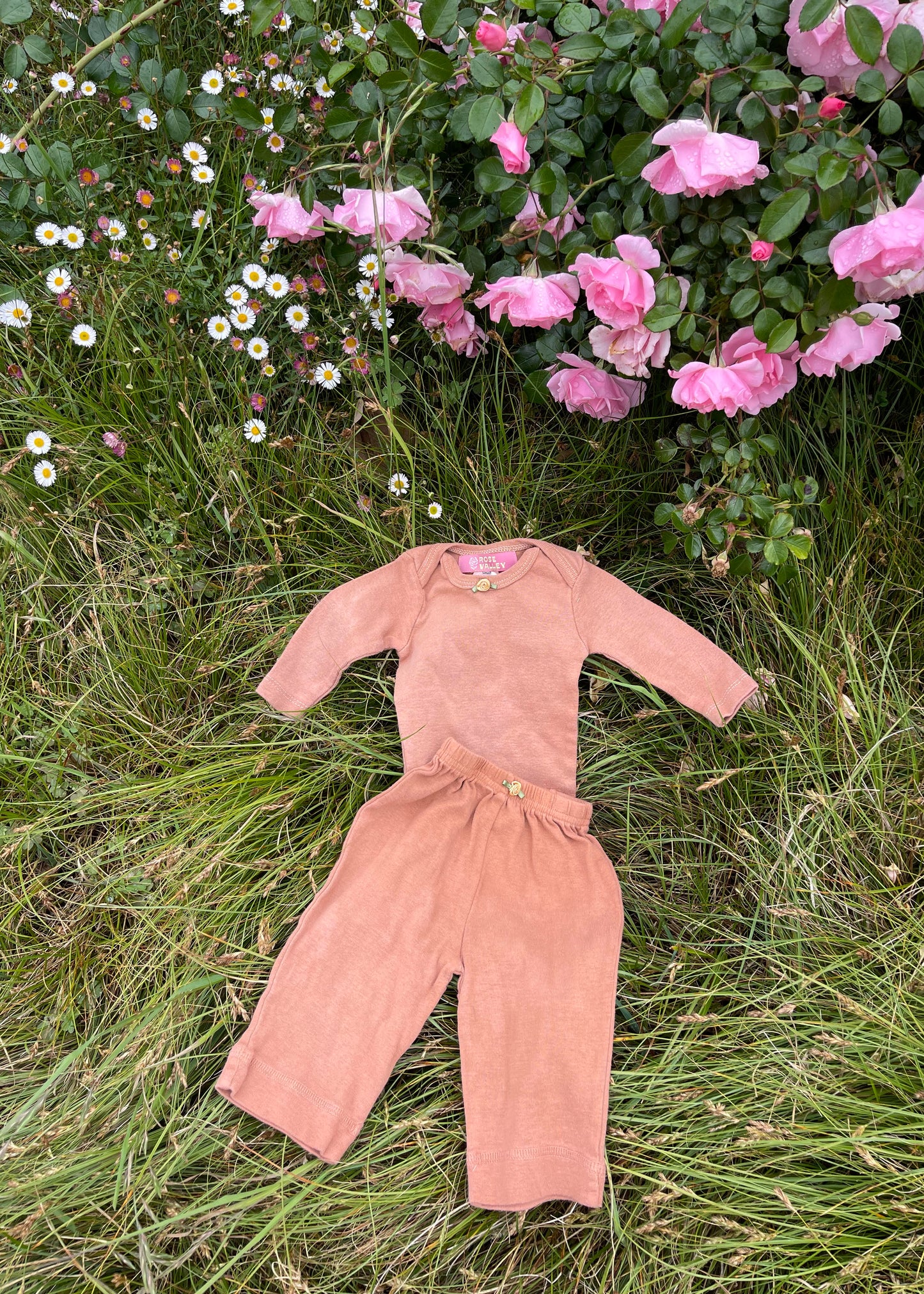 Clay Dream Set